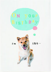 On Your Birthday! Pop up Shiba Birthday card - From Japan
