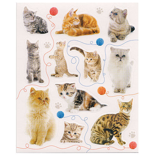 1x Cute Cat Sticky Memo Note Pad! LUCKY DIP (Random Design)
