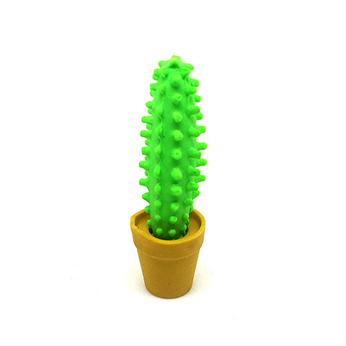Cute Cactus Eraser!