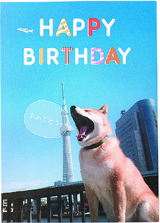 Happy birthday! Pop up Shiba Birthday card - From Japan! 