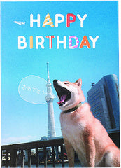 Happy birthday! Pop up Shiba Birthday card - From Japan! 
