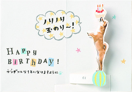On Your Birthday! Pop up Shiba Birthday card - From Japan