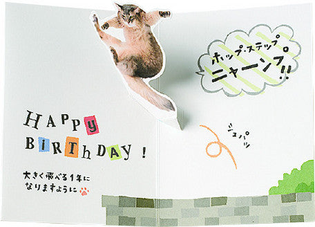 On Your Birthday! Pop up kitty cat Birthday Card - From Japan