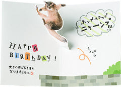 On Your Birthday! Pop up kitty cat Birthday Card - From Japan