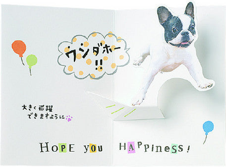 Fight! Pop up French Bulldog "Cheer up" Card - From Japan