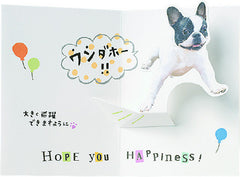 Fight! Pop up French Bulldog 
