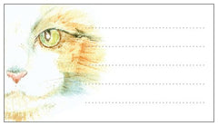 Cat painting - Pk of 20 Message Cards