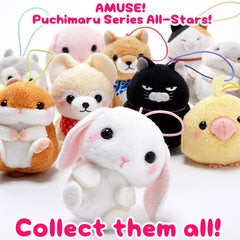 Amuse : Mameshiba San Kyoudai - Mamejiro Mini Plush 4.5cm Hanger / Bag Mascot!