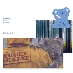 Save our Koala Bros Sticker Sheet