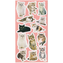 Cute Cats sticker sheet!
