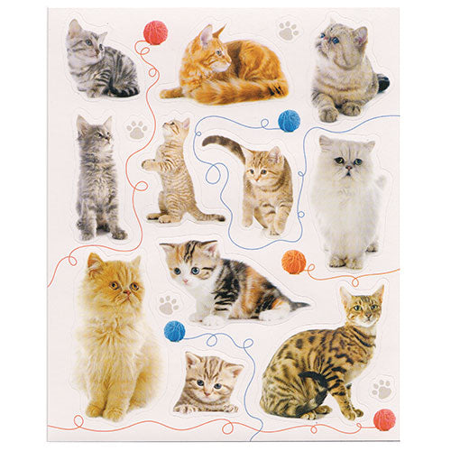 Adorable Cats sticker sheet!