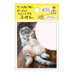 Gakken Sta:Ful - Lazy Cat Sticky Memo Notes Pad!