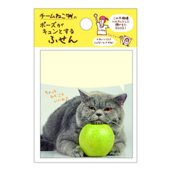 Gakken Sta:Ful - Lazy Cat with Apple Sticky Memo Notes Pad!